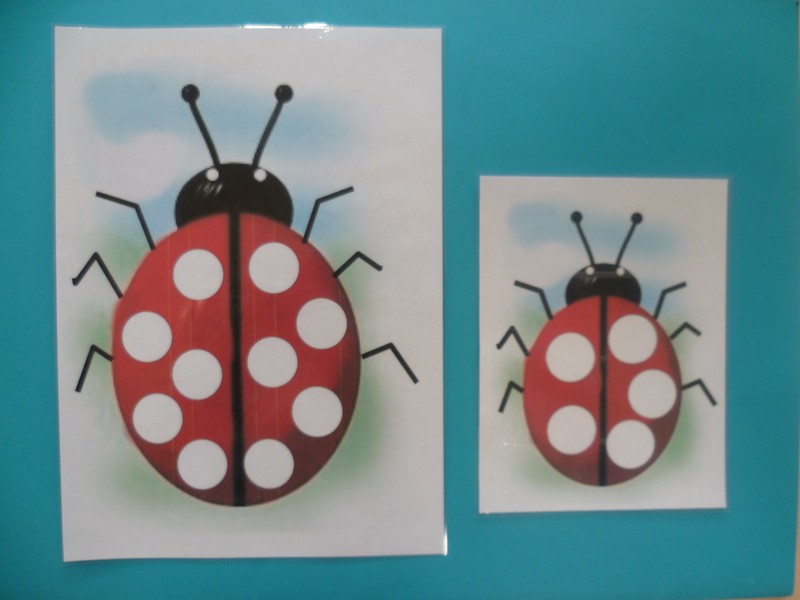 Les coccinelles